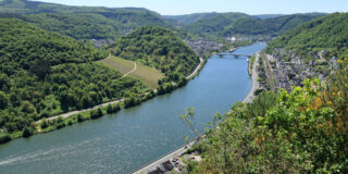 Buchsbaum Wanderpfad Moezel